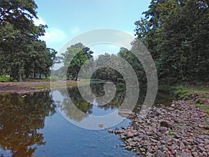 River and Forest Landscape photo