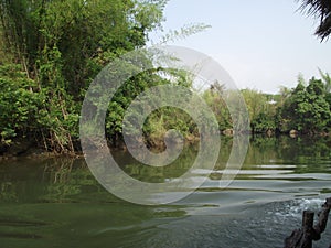 River in the forest photo