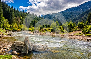 River among the forest in picturesque mountains in springtime