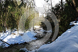 A river in the forest running through a snowy scene