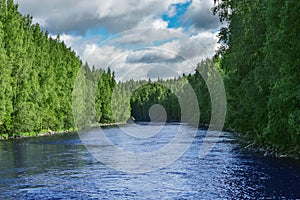 River in the forest.