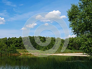 River and forest in summer. Blue sky with white clouds. On a bright sunny day