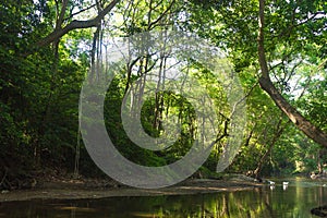 River in forest and sunlight through leaves ratchaburi thailand