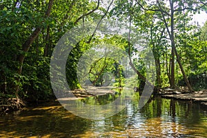 River in forest and sunlight through leaves ratchaburi thailand