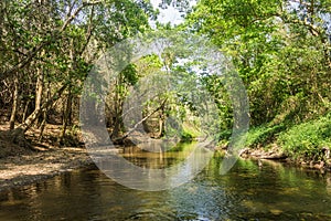 River in forest and sunlight through leaves ratchaburi thailand