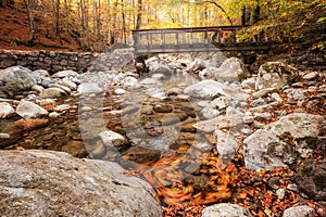 River in forest of Vizzavona in Corsica