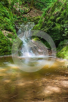 The river in the forest w waterfalls- HDR