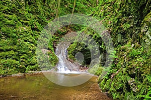 The river in the forest w waterfalls- HDR