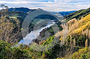 River and forest in Whanganui National Park, New Zealand