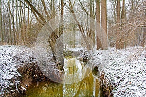 River in the forest in winter