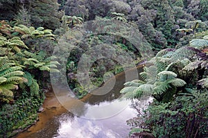 River of the forgotten world highway, New Zealand