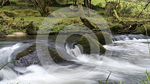 The River Fowey, Golitha Falls, Bodmin Moor, Cornwall, UK