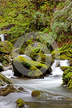 River in the Fragas do Eume