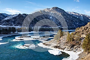 The river is free of ice on a spring day. Sunny bright day. Mountains in the background. Trees in frost. Russia, mountain river