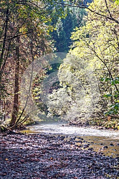 River in the French Alps