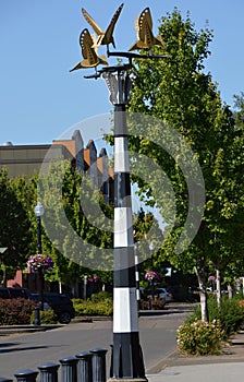 River Front Park at the Willamette River in Downtown Corvallis, Oregon