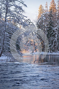 River in a frosty morning