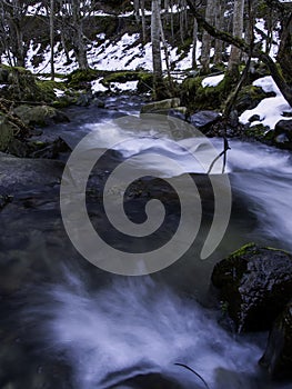 River in frozen forest