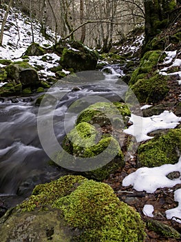 River in frozen forest