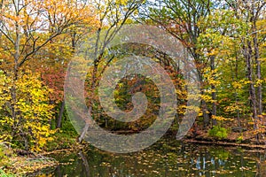 River full of fallen leave during fall foliage in New England