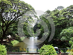 River and full vegetation in Eco Park Manila Quezon City