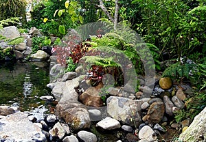 River garden naturals photo