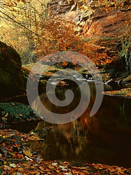 River Gelt, sandstone cliffs, Cumbria