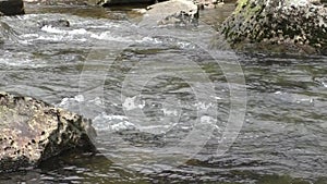 River Glaslyn near Beddgelert