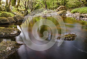 River glencree slowly flowing displaying beautiful reflections in the water