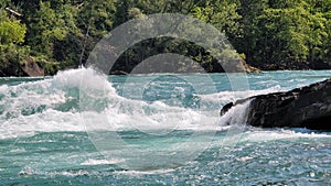 River Gorge Rapids. Niagara Falls, Canada with lush green vegetation in the background