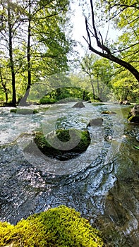 The river Gradac Valjevo, Serbia is one of the cleanest rivers in Europe