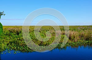 River of Grass Everglades National Park Florida