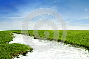 River in the grass field