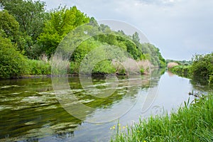 River grassed