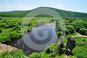 River in grassland