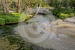 River gravel and stream with trees and grass