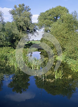 River great ouse
