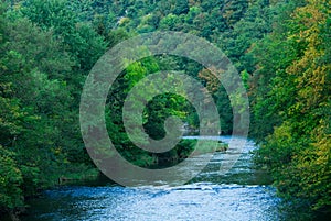 River and green forest