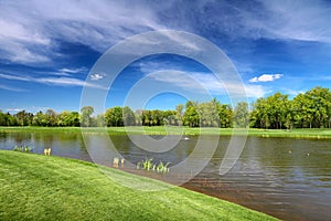 River and green lea in summer day