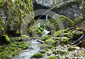 Un rio en verde piedra 