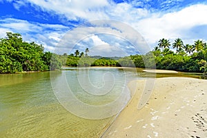 River with greenish waters flowing through the mangrove vegetation