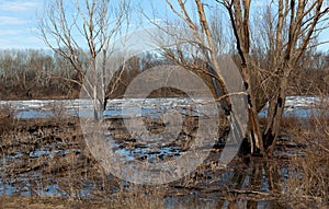 River ice in the spring in the day