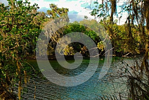 River in Ichetucknee springs state park near Orlando Florida