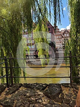 The river Ilmenau with weeping willows