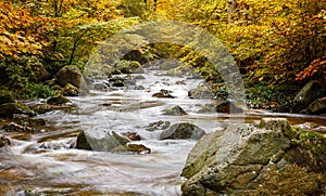 River Ilse at the Harz