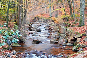 The river Ilse in the Harz National Park