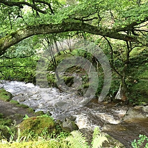 A river in Ireland