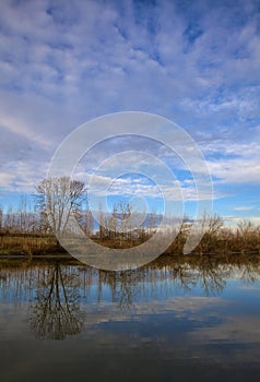 River in the italian countryside in winter with the sky casted in the water