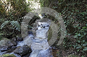 River in Itatiaia National Park