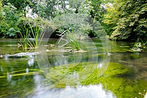 River Itchen in Eastleigh, Hampshire, UK